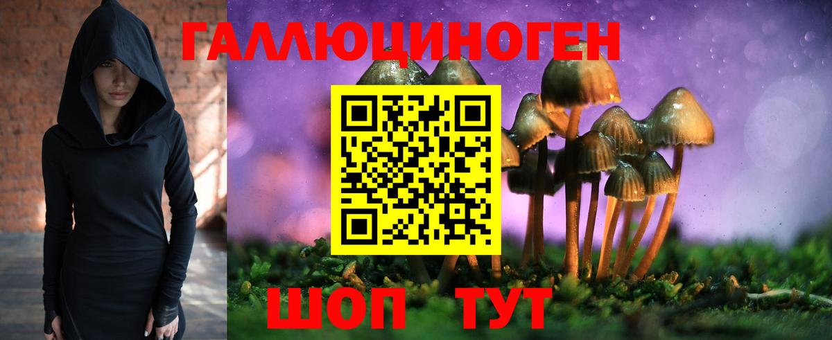 Псилоцибиновые грибы Psilocybine cubensis Москва