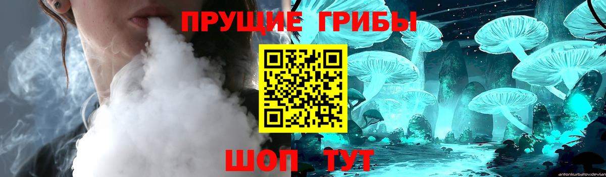 Галлюциногенные грибы GOLDEN TEACHER  Вход с VPN  Галлюциногенные грибы Psilocybine cubensis  Москва 